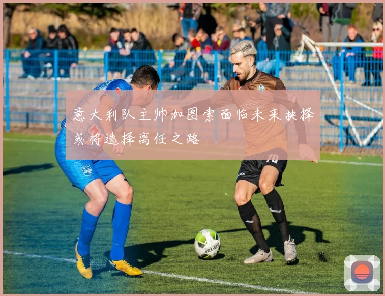 意大利队主帅加图索面临未来抉择或将选择离任之路