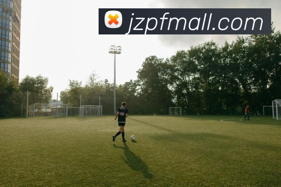 乐鱼APP 高清赛事图